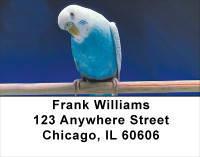 Parakeets On Parade Address Labels | LBANK-55