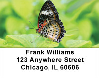 Butterfly Dreams Address Labels | LBANK-62