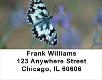 Butterfly Dreams Address Labels | LBANK-62