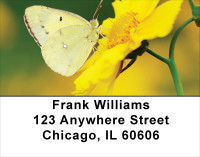 Golden Wings Address Labels | LBANK-65