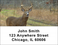 Big Horned Buck Deer Address Labels | LBANK-71