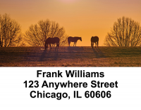 Sunset Horses Address Labels | LBANK-78