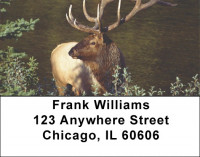 Elk Address Labels | LBANK-87