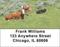 Bonding Baby Calves Address Labels | LBANK-89