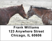 Equine Love Address Labels | LBANK-91