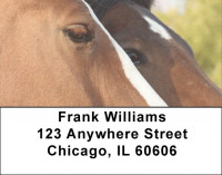 Equine Love Address Labels | LBANK-91