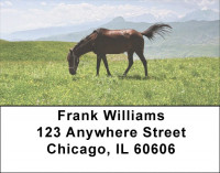 Grazing Freedom Address Labels  | LBANK-92