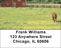 Grazing Freedom Address Labels  | LBANK-92