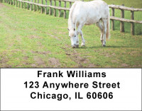 Grazing Freedom Address Labels  | LBANK-92