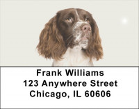 More English Spaniels Address Labels | LBDOG-101