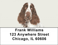 More English Spaniels Address Labels | LBDOG-101