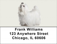 Maltese Address Labels | LBDOG-103