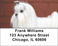 Maltese Address Labels | LBDOG-103
