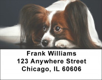 Papillon Address Labels | LBDOG-106