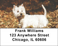 West Highland White Terrier Address Labels | LBDOG-112