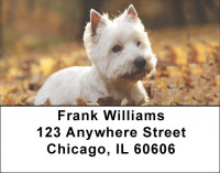 West Highland White Terrier Address Labels | LBDOG-112