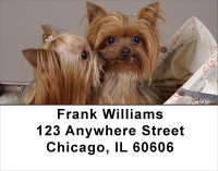 More Yorkies Address Labels | LBDOG-34