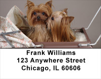 More Yorkies Address Labels | LBDOG-34