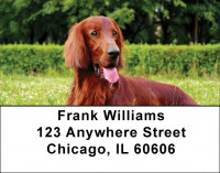 Irish Setter Address Labels | LBDOG-38