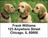 Golden Retriever Address Labels | LBDOG-39