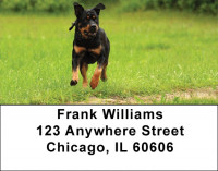 Rottweiler Address Labels | LBDOG-40