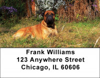 Majestic Mastiff Address Labels | LBDOG-41