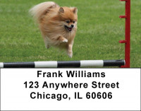 Pomeranian Address Labels | LBDOG-42