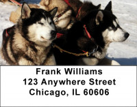 Sled Dogs Address Labels | LBDOG-43