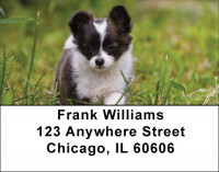 Charming Chihuahua Address Labels | LBDOG-51