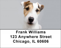 Mischievous Jack Russells Address Labels | LBDOG-58