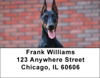 Dobermans Smile Address Labels | LBDOG-62