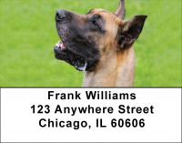 Gigantic Great Danes Address Labels | LBDOG-63