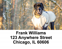 Gigantic Great Danes Address Labels | LBDOG-63