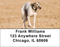 Wily Whippets Address Labels | LBDOG-75