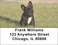French Bulldog Address Labels | LBDOG-80
