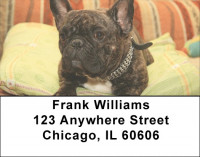 French Bulldog Address Labels | LBDOG-80