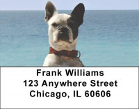 French Bulldog Address Labels | LBDOG-80