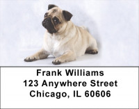 Pug Portraits Address Labels | LBDOG-85