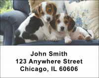 Cute Puppies Address Labels | LBDOG-88