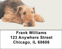 Airedale Terrier Address Labels | LBDOG-89