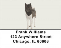 Akita Address Labels | LBDOG-90