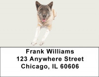 Akita Address Labels | LBDOG-90