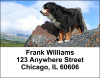Bernese Mountain Dogs Address Labels | LBDOG-93