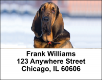 Blood Hound Address Labels | LBDOG-94