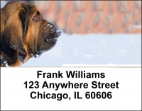 Blood Hound Address Labels | LBDOG-94