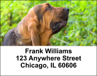 Blood Hound Address Labels | LBDOG-94