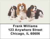 Cavalier Spaniels Address Labels | LBDOG-98
