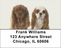 Cavalier Spaniels Address Labels | LBDOG-98