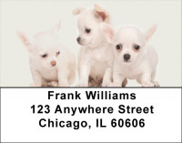 Lovable Chihuahuas Address Labels | LBDOG-99