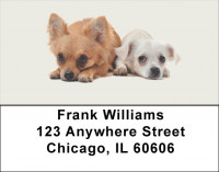 Lovable Chihuahuas Address Labels | LBDOG-99